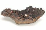 Small, Red Vanadinite Crystals on Manganese Oxide - Morocco #212011-1